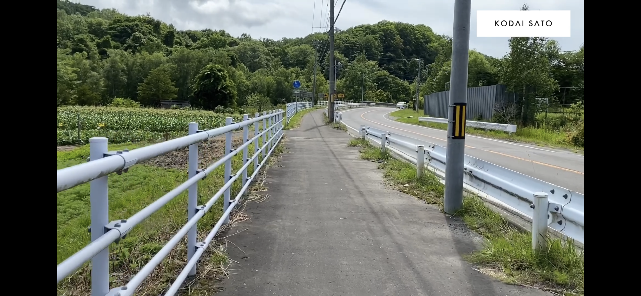 道路に出ちゃった…