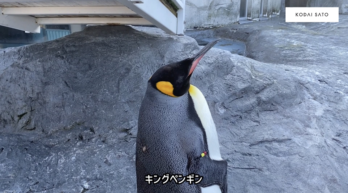 旭川2日目